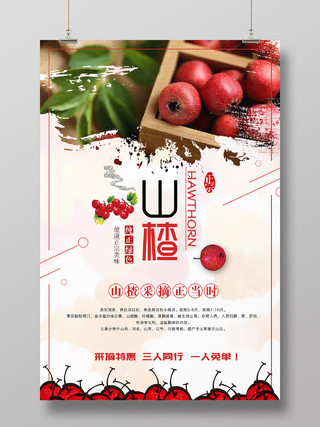 红色简约山楂健康美味水果海报